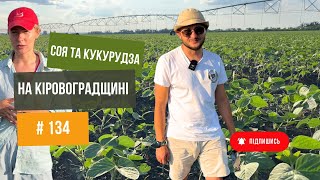 #134 Соя та Кукурудза на Кіровоградщині. Поля: No-till та Класика. 🤩 Технологія від Юрія Дробязко🔥