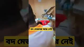 বদ মেজাজ কবির আর বেঁচে নেই 😭 #shorts #short #shortvideo