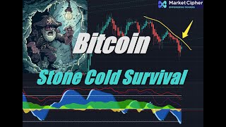 Bitcoin in SURVIVAL Mode - The Price Bitcoin HAS TO BREAK