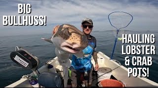 Turbot Fishing! Lobster & Crab Fishing! - Big BullHuss, Lobsters, Brown Crabs & Mackerel!