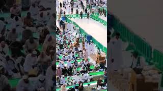 madinah Ramadan2024 #beautiful #shortvideo #ramadan #tilawatequran #kamil_arsad