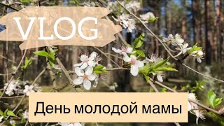 ОДИН ДЕНЬ ИЗ ЖИЗНИ МОЛОДОЙ МАМЫ