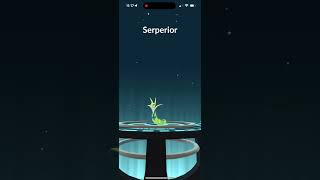 Evolving Shiny Servine Into Shiny Serperior In Pokémon Go