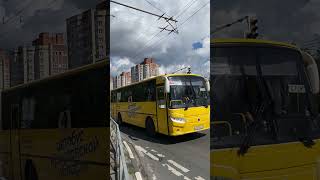 Автобус КАвЗ-4238-61 по маршруту 504, Ярославль