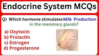 Endocrine System MCQs ||gland and hormones mcqs ||mcq on endocrinology