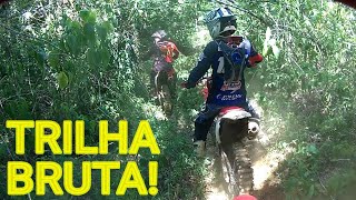 TRILHA DE MOTO TOP COM 3 CRF 230 RONCANDO FORTE!