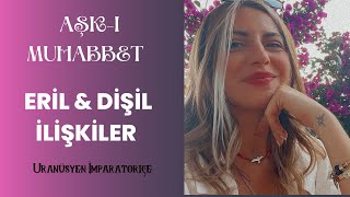 Dişil ve Eril Dengesi ve İşbirliği