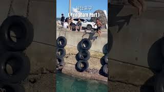 용담포구 | Yongdam Port | 제주도 다이빙 | Jeju Island #diving #korea  #jejuocean #shorts #shortvideo #제주도