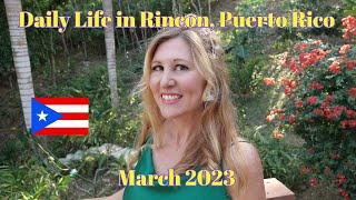 Daily Life in Puerto Rico March 2023: Farm Work, Car Shows and a Fundraiser!