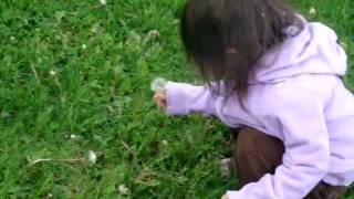 Sophie sees birds and dandelions at the park!