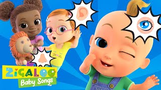 The Five Senses with Johnny and Friends and more Kids Videos by Zigaloo Baby Songs