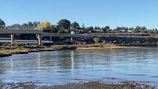 Amtrak 711 passing thru Pinole, CA