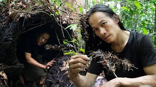 1460 Days of Survival in the Tropical Rainforest - Survival Challenges - Part 1