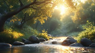 Relaxing Ambient Sounds - Calming Music for Inner Peace