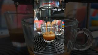 Test Shot: La Pavoni EDL 12 Repair