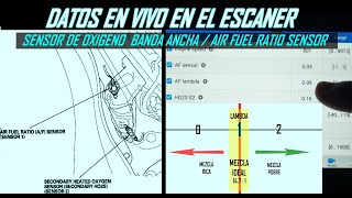 Señal de sensores de oxigeno cuando no sirve el catalizador (Sensores de banda ancha)