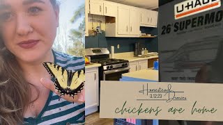 Our Chickens Made it Home! | Golden Circle Homestead | 3.12.23