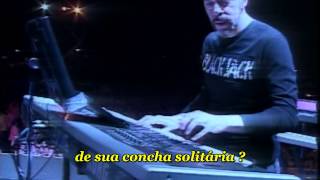 Dream Theater - Solitary shell ( Live in Chile ) - tradução português