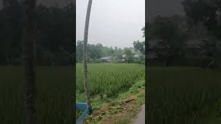 Harmony of Nature Raindrops, Thunderous Rhythms, and the Serenity of Village Life #asmr  #village