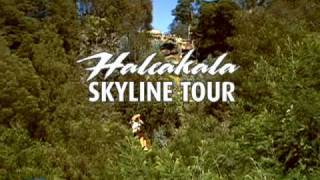 Haleakala Skyline Tour by Skyline Eco-Adventures - Maui Zipline Tour