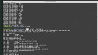 Beginner Introduction to The Sleuth Kit (command line)