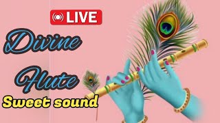 Live 11 - Lord Krishna  Flute sound of Lord Krishna || Krishna Flute Music