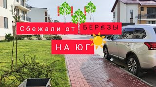 ❗Сбежали от БЕРËЗЫ на ЮГ☀