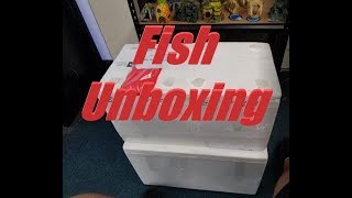 Unboxing Saltwater and Freshwater Fish 31/03/2018