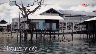 Cinematic Kampung di pinggir danau || Papua