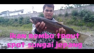 Mancing ikan trout di sungai jepang