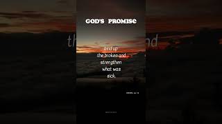 God’s Promise I 31 May 2024 #Shorts