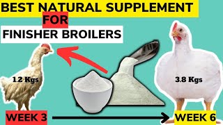 BEST NATURAL SUPPLEMENT FOR FINISHER BROILERS. Cheap. Nutritious & Effective. TRY IT NOW!