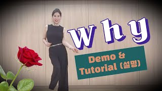 느낌있게~Why//Improver//Demo&Tutorial(설명)