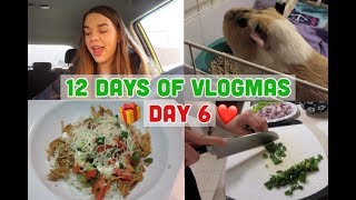 12 DAYS OF VLOGMAS: DAY 6