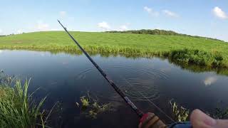 BFS fishing for Bream and Roach - UK Canal fishing