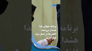 برنامه جهانی غذا هشدار می‌دهد؛ افغان‌ها در خطر مرگ قرار دارند