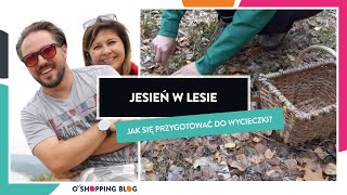 Las jesienią - co można robić w lesie?