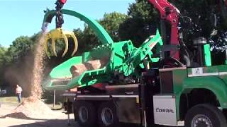 Jenz Hem 583R Cobra Chipper