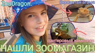 Мы нашли ЗООМАГАЗИН / ZooDragon переехал