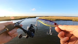 Fishing Small Creeks and Finding GIANT Redfish - Fried Redfish Recipe