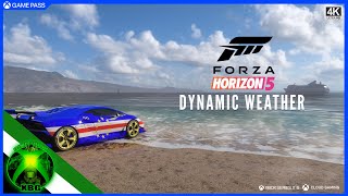 Forza Horizon 5 - Dynamic Weather