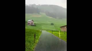 الأجواء التي يَنتمي لها قلَبي🌧️💛🌿