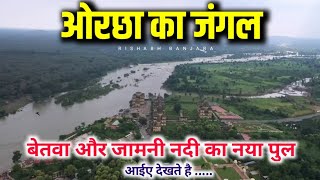 ओरछा के जंगल और बेतवा नदी से क्यों डरते है लोग 😱 l Orchha Ka Jungle l Forest of Orchha