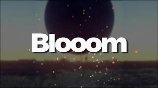 Blooom - Reality