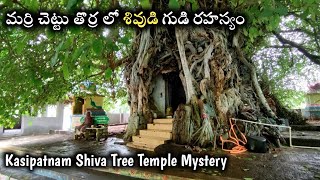 మర్రి చెట్టు లో శివుడి గుడి || కాశిపట్నం || Mysterious Tree Temple || Kasipatnam || Pakka Vizag