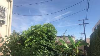 Skies sprayed during pandemic in Los Angeles 6/24/2020