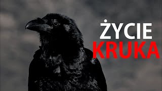 Creepypasta - Źycie KRUKA [PL]