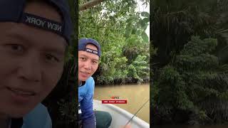 Kali ini rezeki double #fishing  #mancing #mancingudang #prawnfishing #fishingvideo #mancingmania