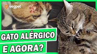 Ração Para Gato Com Alergia