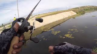 Fishing for BIG BASS in local Clear Water Spillway!!!